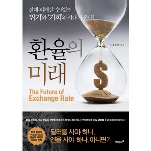 환율의 미래:절대 피해갈 수 없는 '위기'와 '기회'의 시대가 온다!, 에이지21, 홍춘욱 저