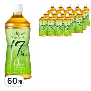 17차 몸이 가벼워지는 시간 차음료, 340ml, 60개