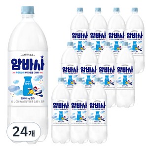 암바사 by 환타, 1.5L, 24개