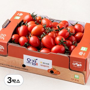 충남세도 GAP 인증 대추방울토마토, 2kg, 3박스