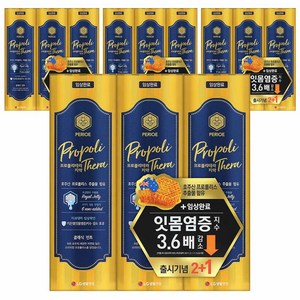 페리오 프로폴리테라 치약, 100g, 12개