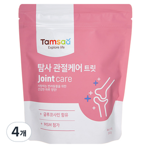 탐사 강아지 영양제 뉴트리션 트릿 관절케어 300g, 글루코사민, 4개