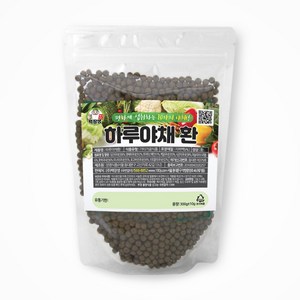 백장생 하루 야채환, 1개, 300g