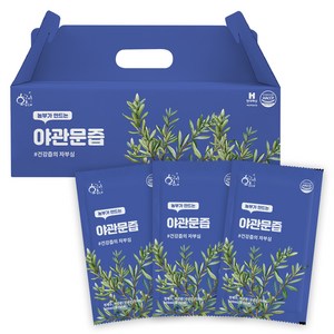 황금이네 야관문즙 진액, 3L, 1개