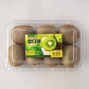 맛젤 참다래 점보 그린키위, 1kg, 1개