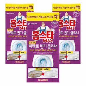 홈스타 맥스 퍼펙트 변기클리너, 540ml, 3개