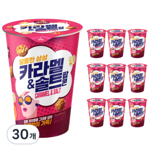 다르다팝콘 카라멜 앤 솔트, 70g, 30개