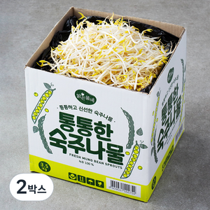 맑은물에 통통한 숙주나물, 3.5kg, 2박스