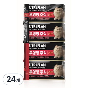 뉴트리플랜 고양이 키튼 하루영양 주식캔, 참치, 85g, 24개