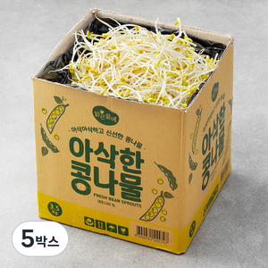 맑은물에 아삭한 콩나물, 3.5kg, 5박스