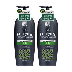 엘라스틴 대나무 숯 두피정화 샴푸, 680ml, 2개