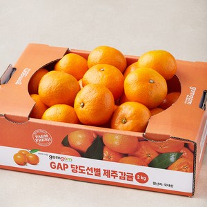 곰곰 GAP 당도선별 제주 감귤, 2kg, 1개