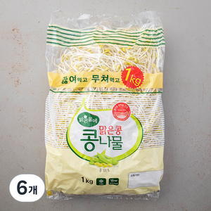 맑은물에 맑은콩 콩나물, 1kg, 6개