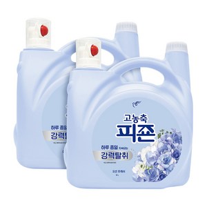 피죤 강력탈취 섬유유연제 오션 후레쉬 본품, 6L, 2개