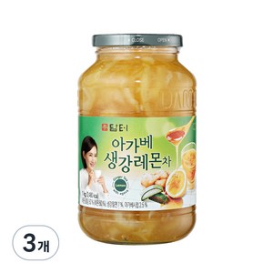 담터 아가베생강레몬차, 1kg, 1개입, 3개