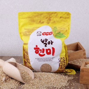 장세순 발아현미, 1.5kg, 1개