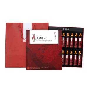 천지양 활력 홍삼 + 쇼핑백, 300ml, 1개