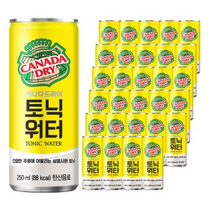 캐나다드라이 토닉워터, 250ml, 30개