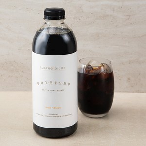 핸디엄 일상기준 콜드브루, 1L, 1개