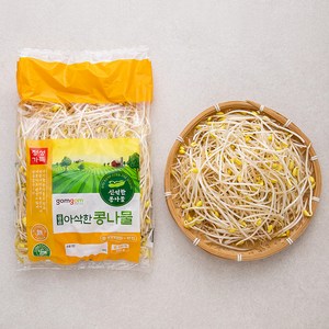 곰곰 아삭한 콩나물, 500g, 1봉