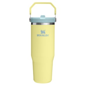 스탠리 아이스플로우 플립 스트로 2.0 텀블러, 포멜로, 887ml, 1개