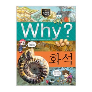 Why 초등과학학습만화18 화석, 예림당