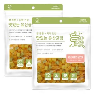 굿데이 맛있는 유산균껌 강아지 간식, 연어혼합, 300g, 2개