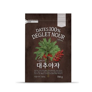 리치팜너트 대추야자, 350g, 1개