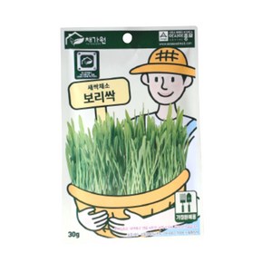 채가원 보리싹 캣그라스, 보리, 30g, 1개