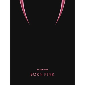 블랙핑크 2nd ALBUM BORN PINK BOX SET 3종 중 랜덤발송 예판 포스터 종료, 1CD