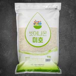 명천 든든 씻어나온 미호 쌀, 5kg, 1개