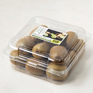 신세계푸드 제주 곶자왈 그린 키위, 2.1kg, 1팩