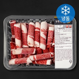 농협안심한우 2등급 차돌박이 구이용 (냉동), 250g, 1개