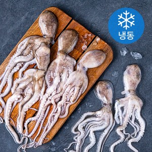 고고새우 낙지 (냉동), 850g(6미), 1개