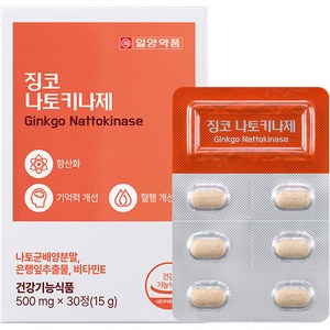 일양약품 징코 나토키나제 15g, 1개, 30정