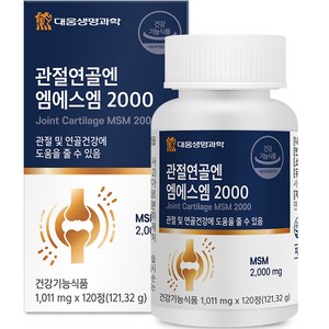 대웅생명과학 관절연골엔 엠에스엠 2000, 120정, 1개