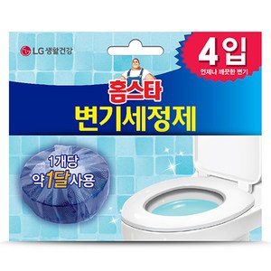 홈스타 변기 세정제 고체형 4개입, 160g, 1개