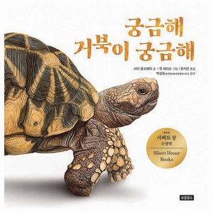 궁금해 거북이 궁금해, 보물창고