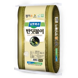 연천농협 2024년산 햅쌀 경기미 반딧불이쌀 대안미, 특등급, 10kg, 1개