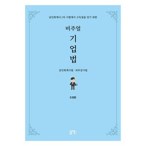 비주얼 기업법 2 : 공인회계사법 외부감사법, 나우퍼블리셔