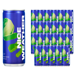 클룹 제로소다 청사과, 250ml, 24개