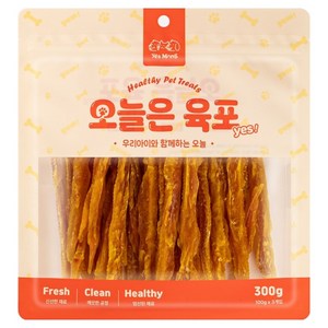 예스몽 오늘은 육포 강아지 생선 간식, 연어 스틱, 300g, 1개