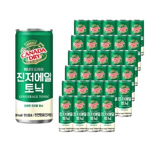 캐나다드라이 진저에일 토닉, 30개, 250ml