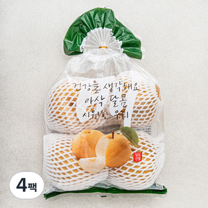 원농산 당도선별 배 3~4입, 4팩, 2kg