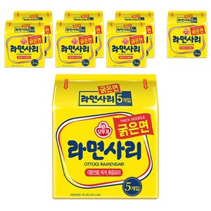 오뚜기 라면사리 굵은면 110g, 40개