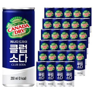 캐나다드라이 클럽소다, 250ml, 30개