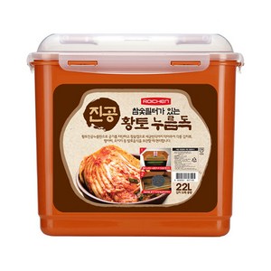 로이첸 참숯 진공 누름독, 22L, 1개