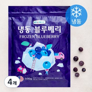 웰프레쉬 미국산 블루베리 (냉동), 500g, 4개