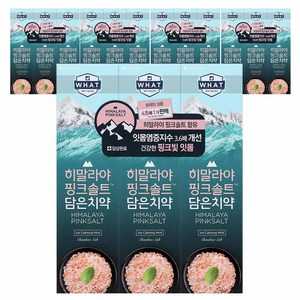 히말라야핑크솔트 담은 치약 튜브형 아이스, 100g, 15개