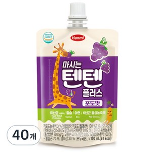 텐텐 한미사이언스 마시는 텐텐 플러스 100ml, 포도맛, 40개